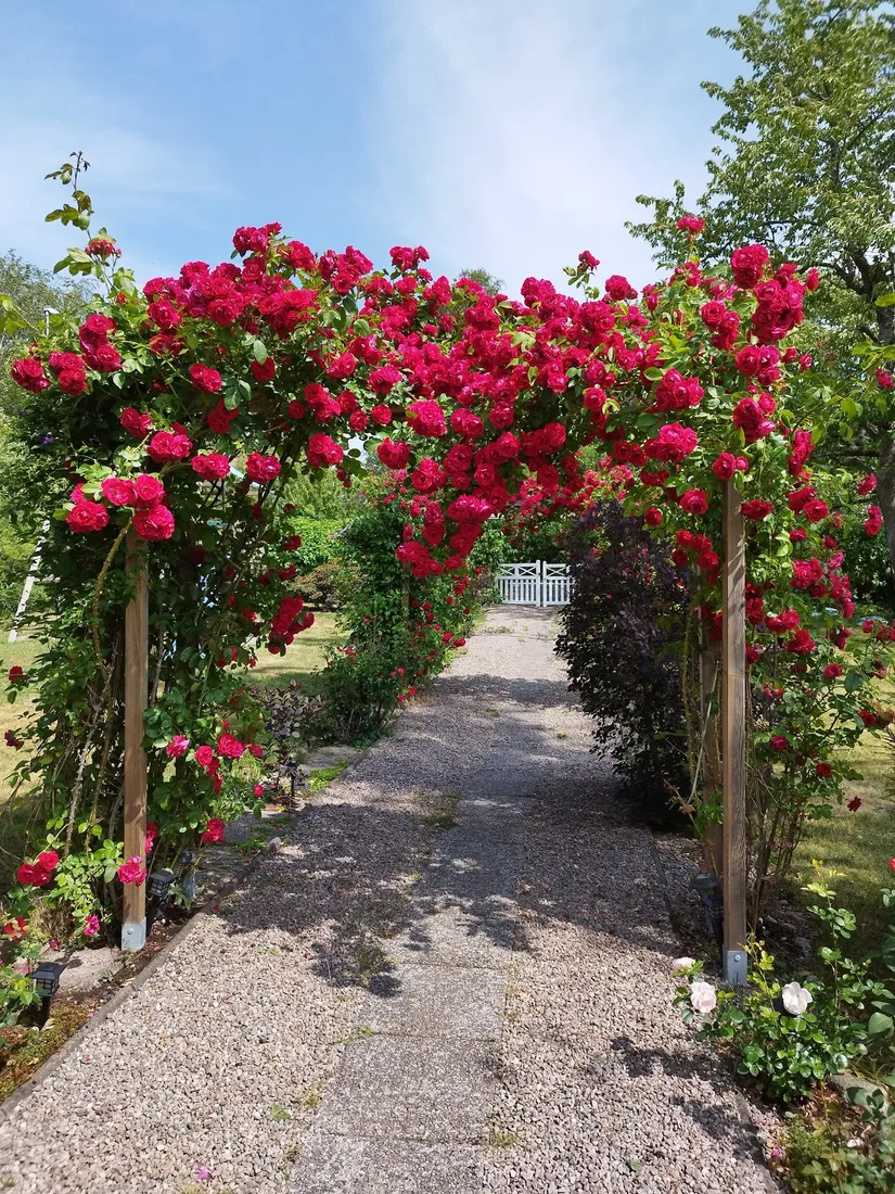 Villa, Skolvägen 5, Hycklinge, Kinda