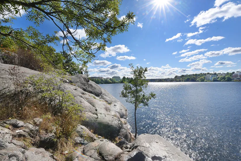 Bostadsrätt, Stagneliusvägen 38, Kungsholmen Fredhäll, Stockholm