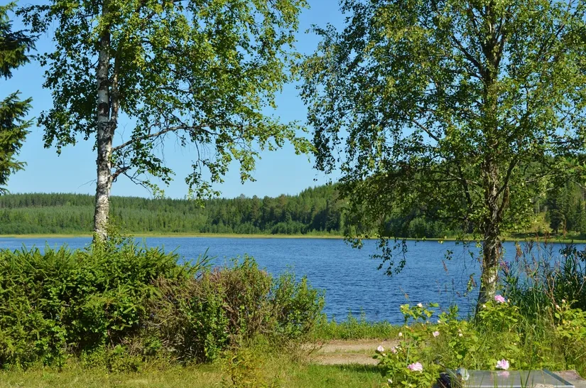 Fritidshus, Lillträsk 205, Vindelånäset, Vindeln