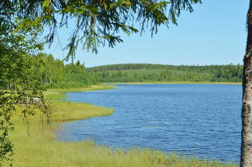 Fritidshus, Lillträsk 205, Vindelånäset, Vindeln