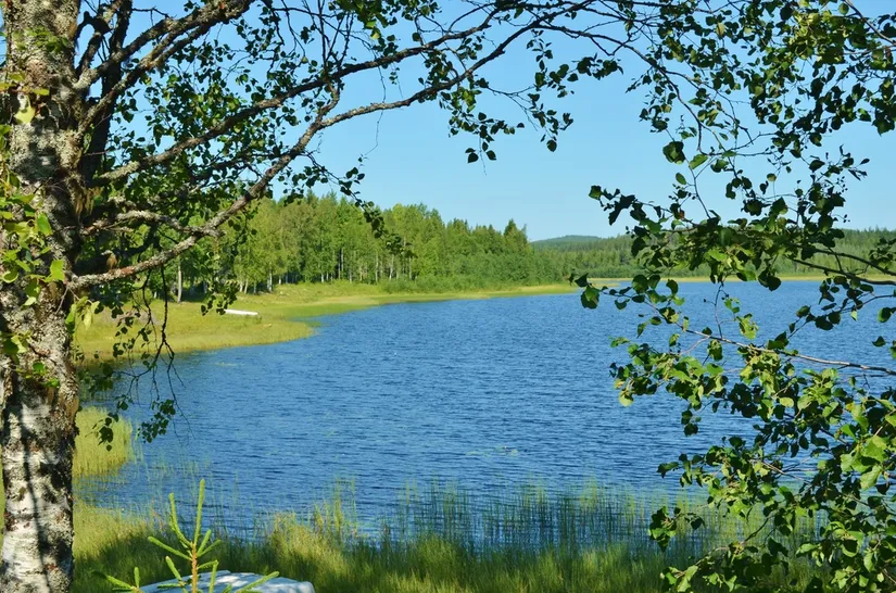 Fritidshus, Lillträsk 205, Vindelånäset, Vindeln