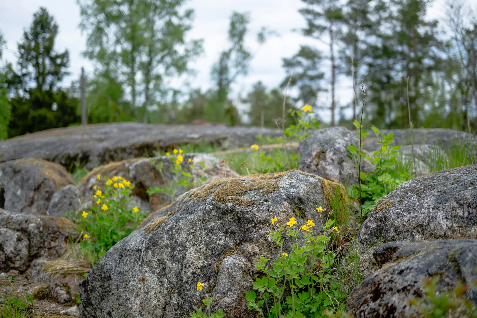 Fritidshus, Liljas backar 3, Malmsjöstugan, Gnesta