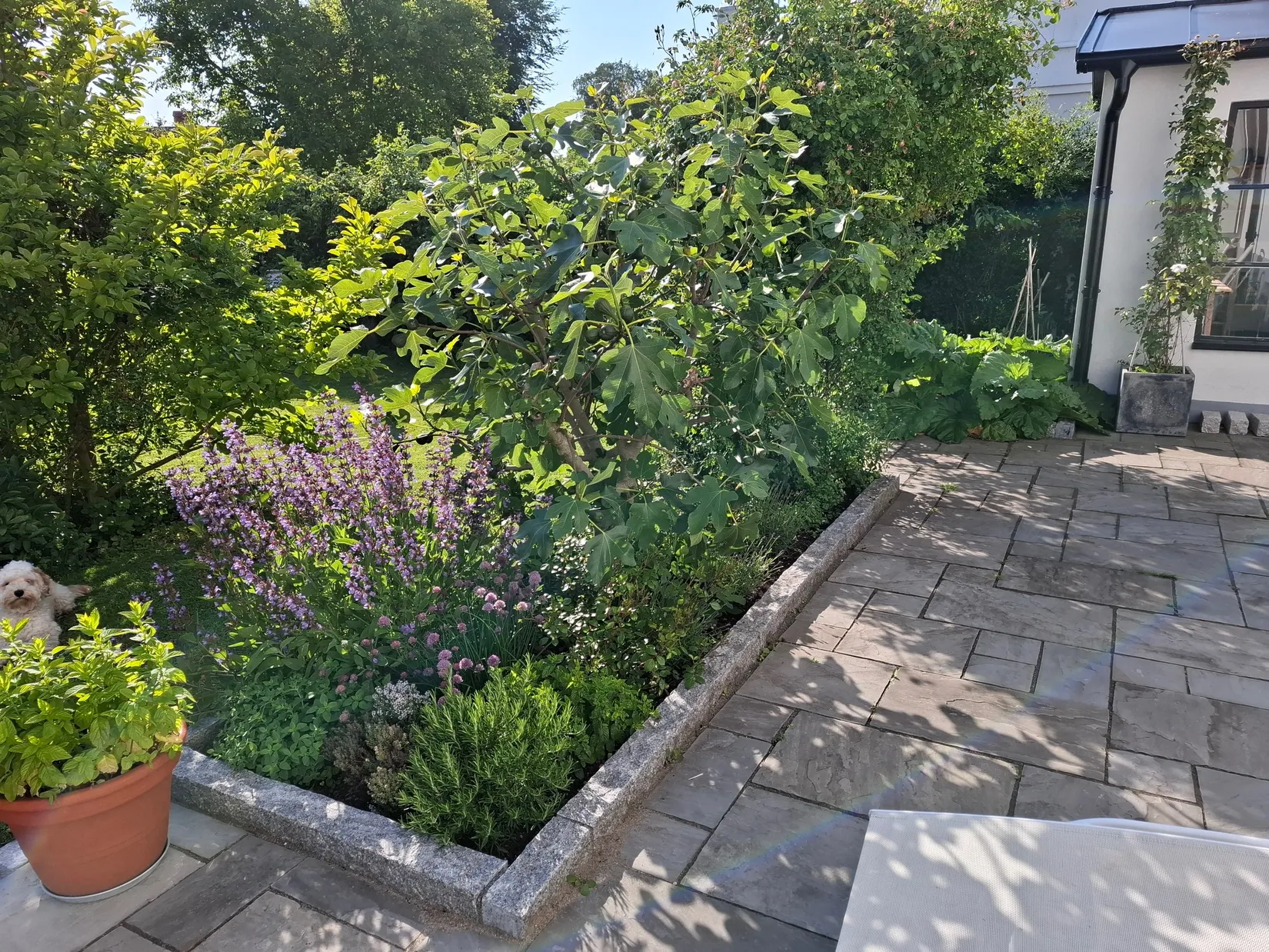 Villa, Mellanhedsgatan 33, Mellanheden, Malmö