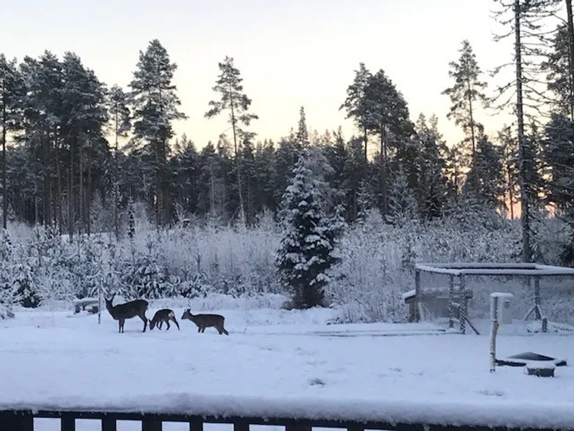 Villa, Skäjsnäsvägen 314, Skäjsnäs, Mora