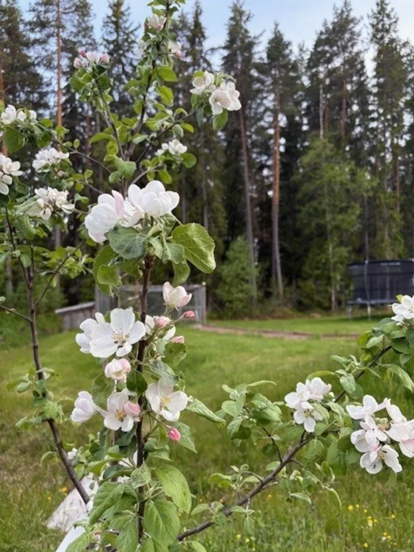 Villa, Skäjsnäsvägen 314, Skäjsnäs, Mora
