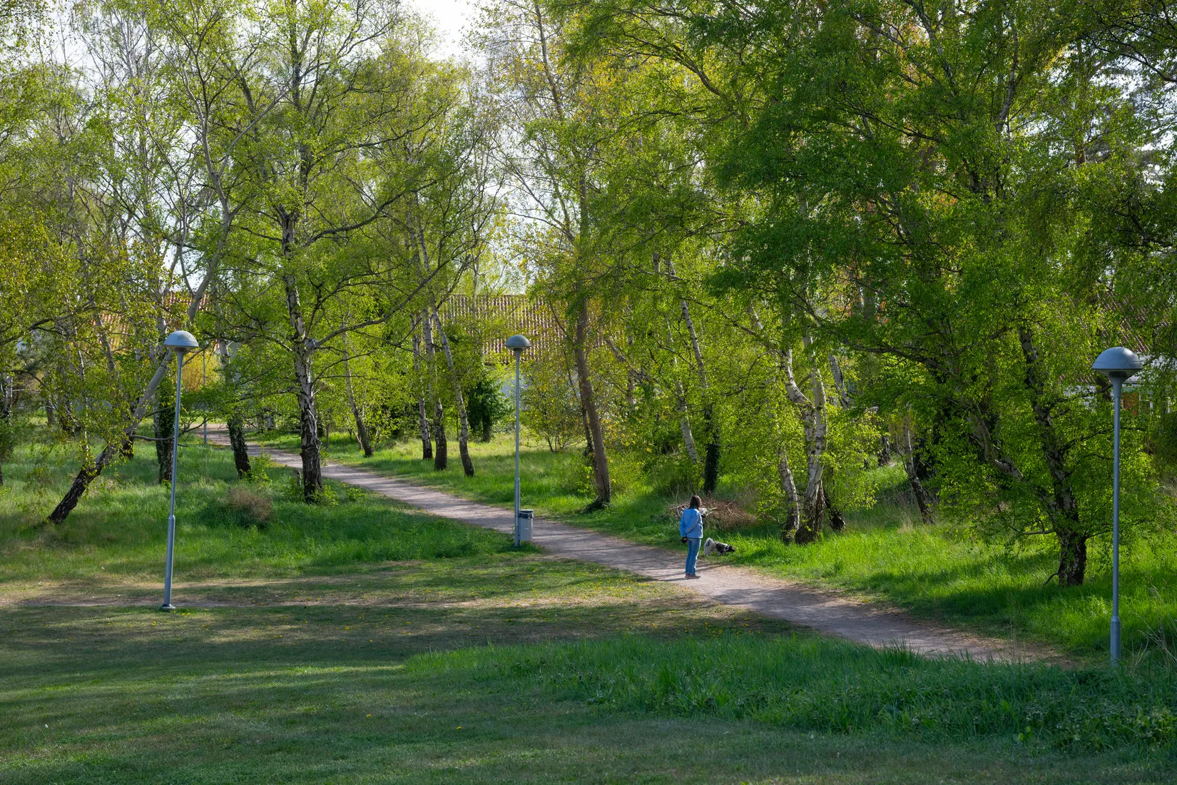 Villa, Radhus, Timmermansgången 5, Skanör, Vellinge