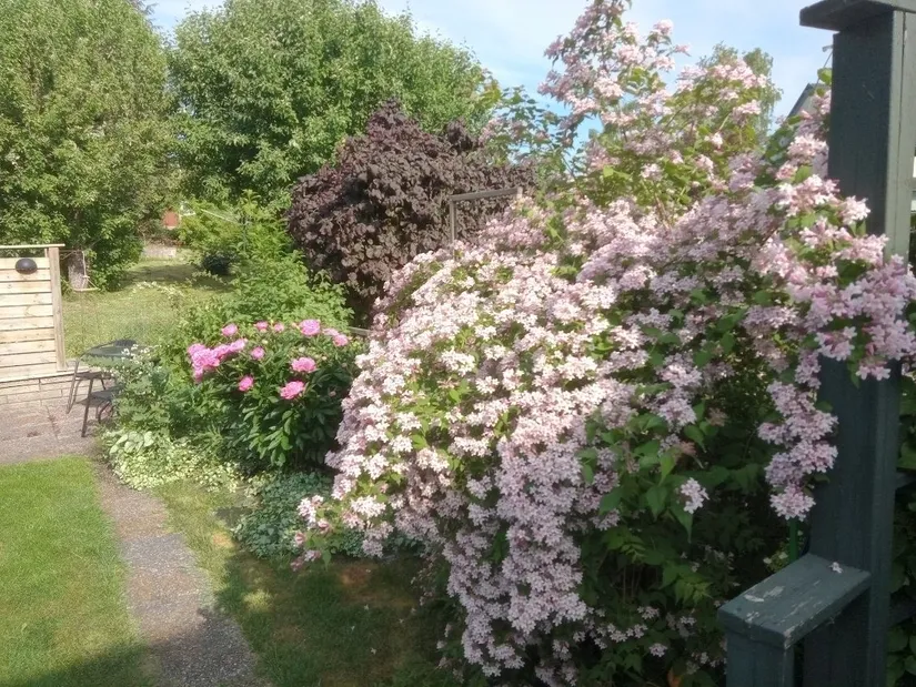 Villa, Radhus, Blomstervägen 8B, Katrineholm Nävertorp, Katrineholm
