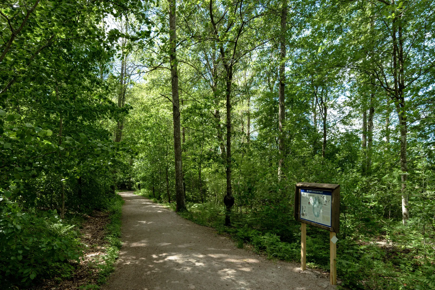 Bostadsrätt, Bollklubbsvägen 5, Teleborg, Växjö