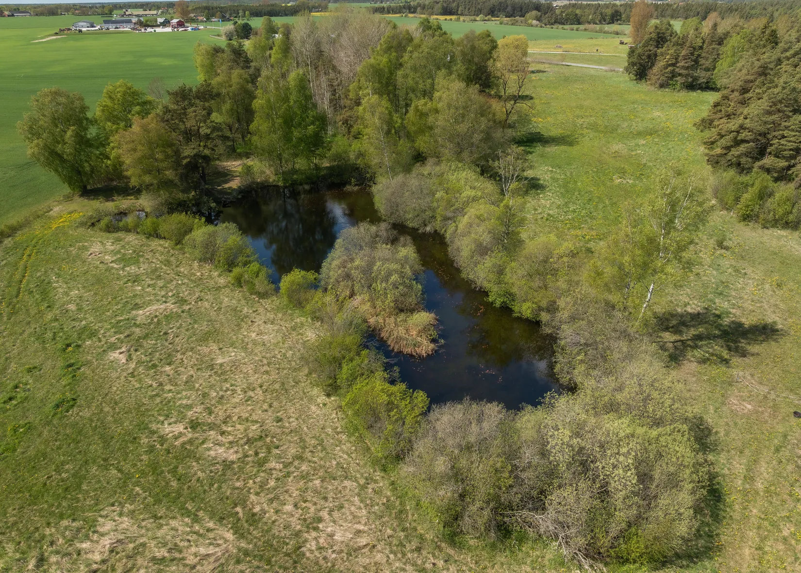 Gård/Skog, Barlingbo Lillåkre 646, Gotland