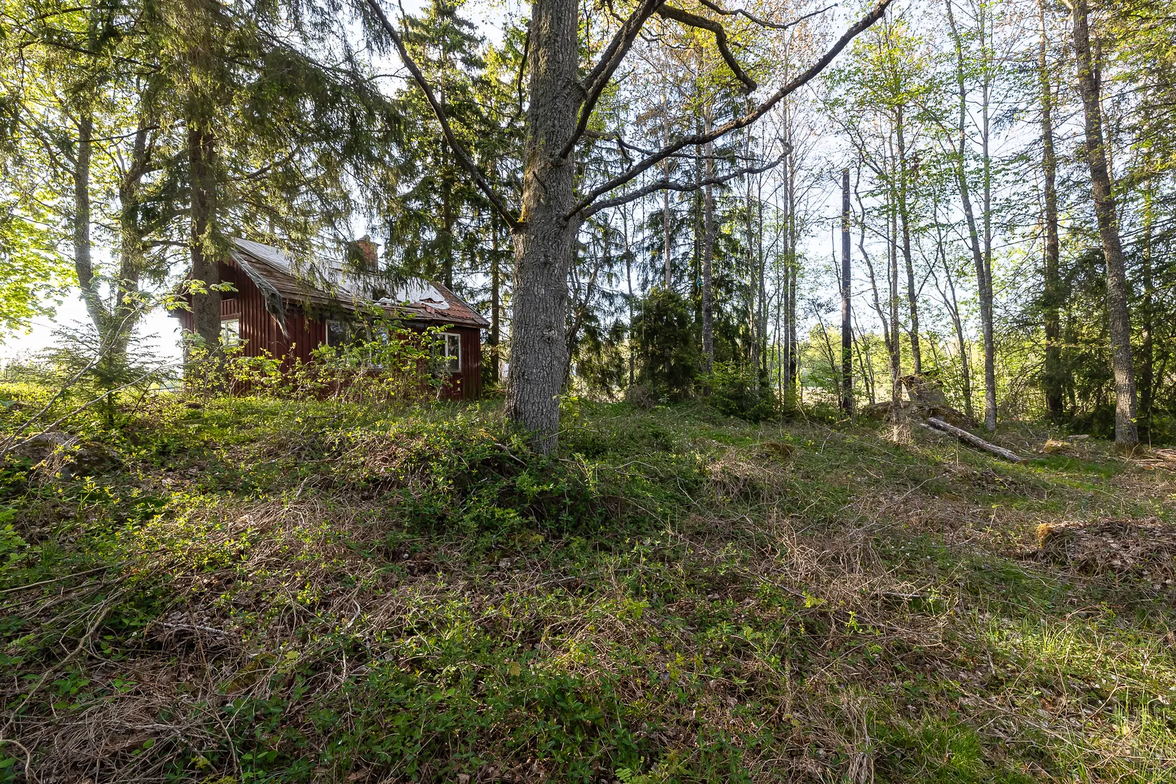 Tomt, Skäggesta Rönneberga 17, Börje, Uppsala