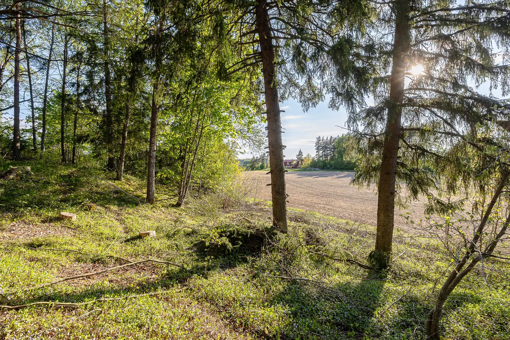 Tomt, Skäggesta Rönneberga 17, Börje, Uppsala