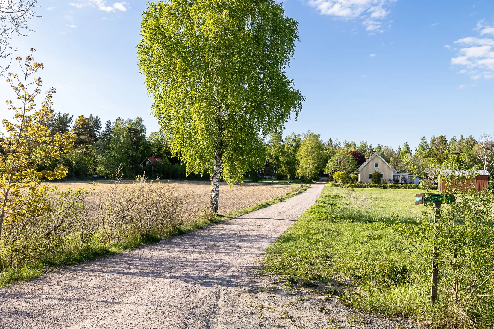 Tomt, Skäggesta Rönneberga 17, Börje, Uppsala