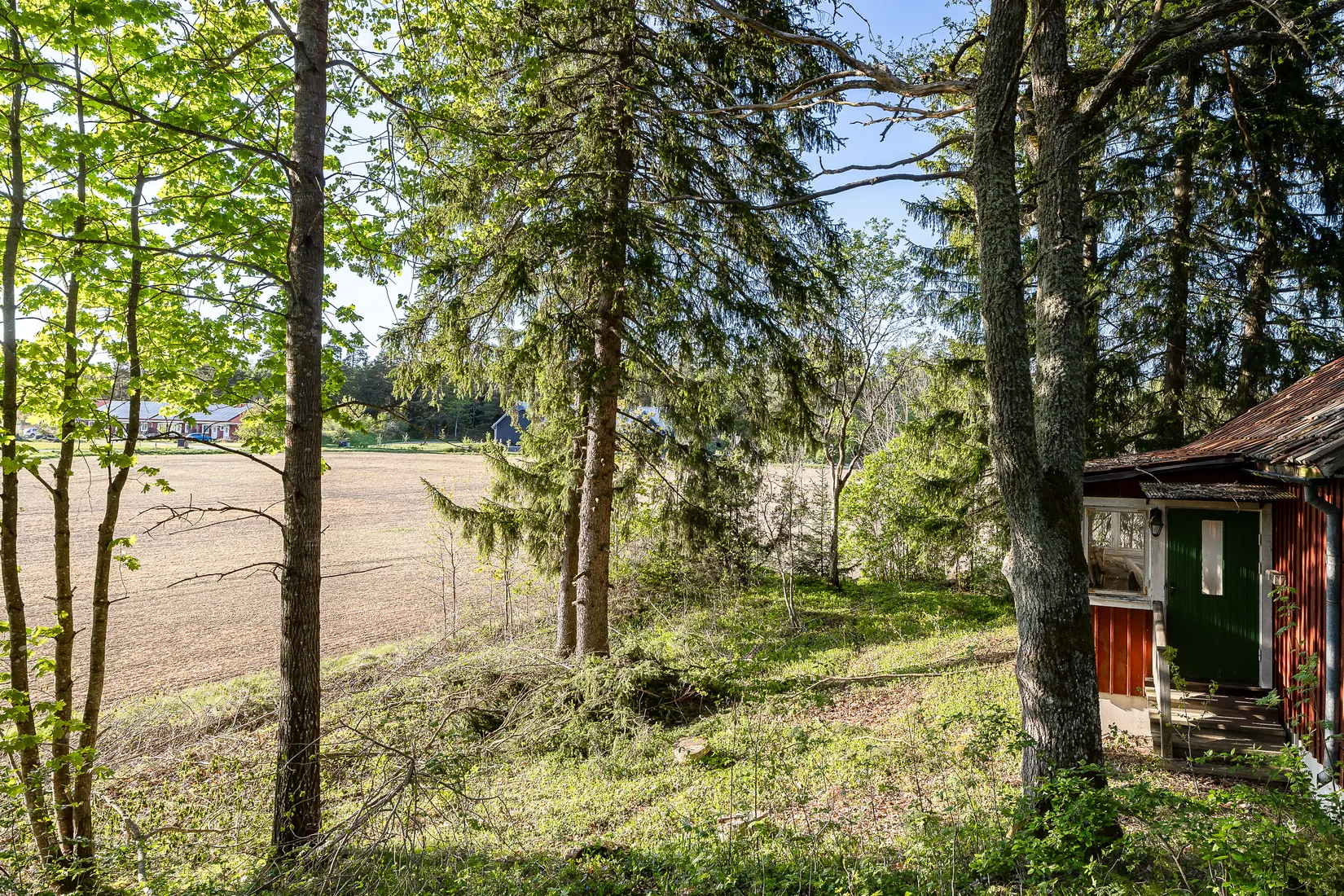 Tomt, Skäggesta Rönneberga 17, Börje, Uppsala