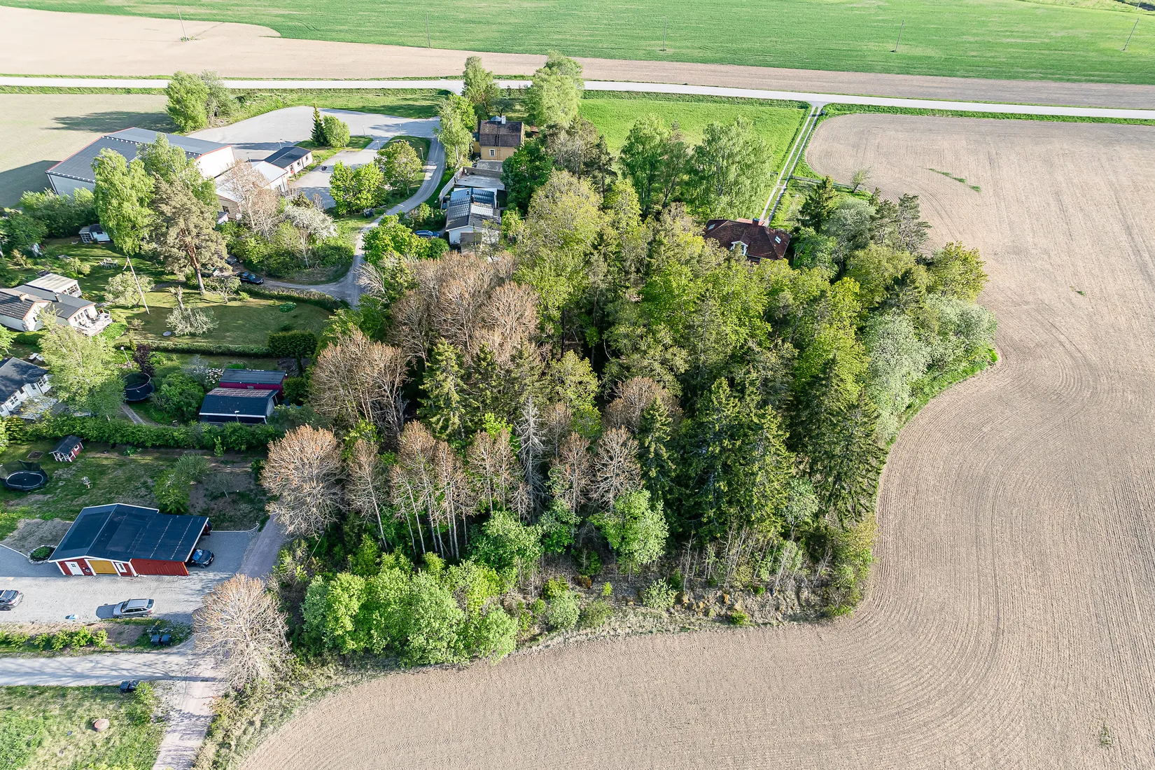 Tomt, Skäggesta Rönneberga 17, Börje, Uppsala