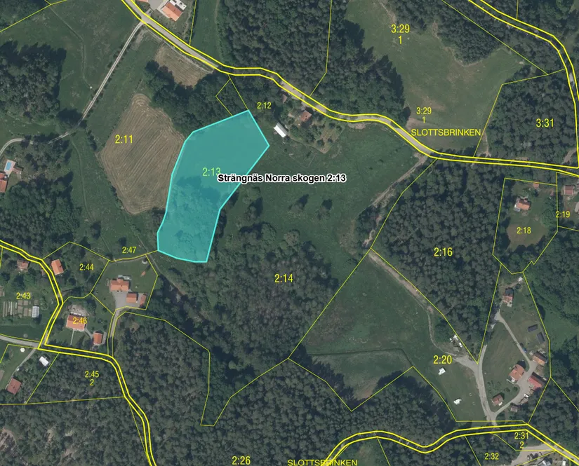 Gård/Skog, Rosenberg 3, Slottsbrinken, Strängnäs