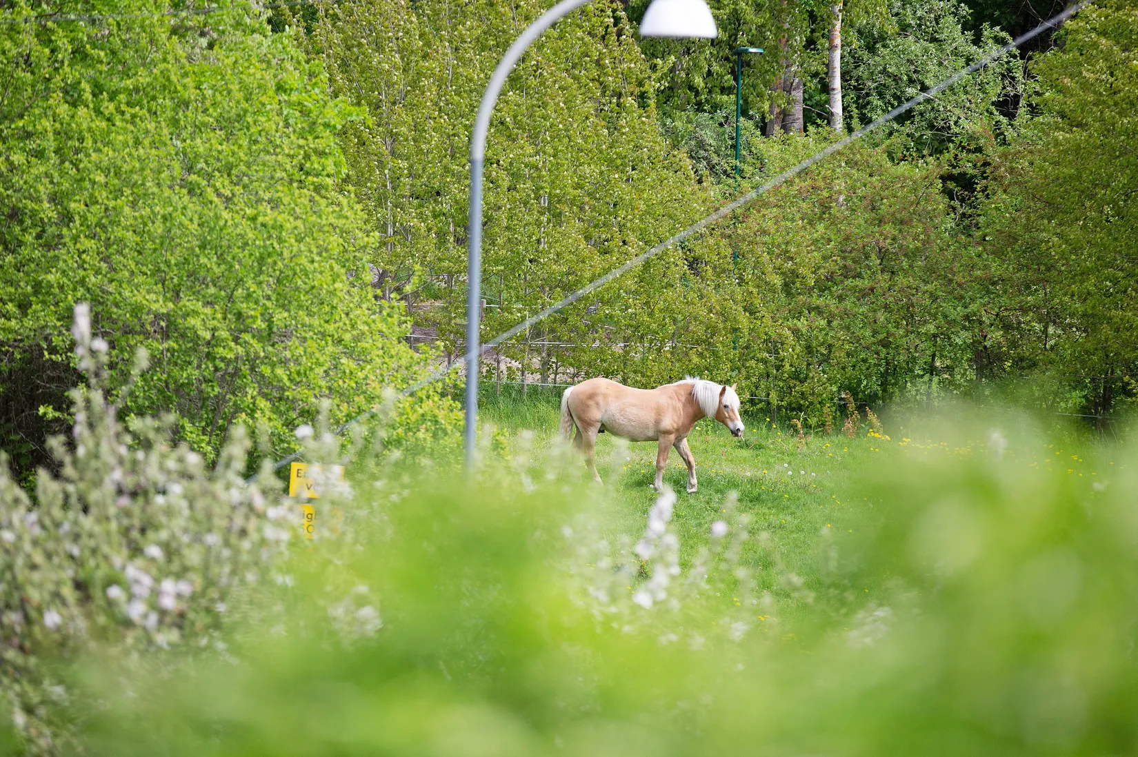 Villa, Föreningsvägen 23, Lilla Ursvik, Sundbyberg