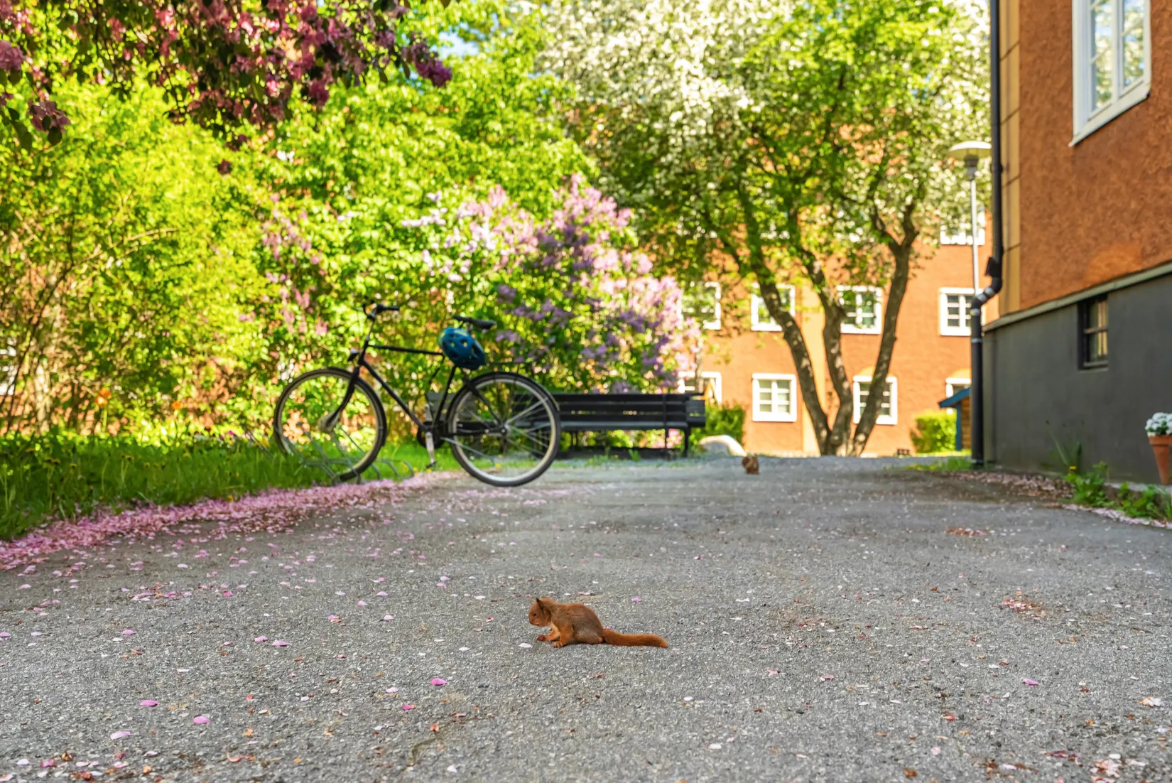 Bostadsrätt, Granbacken 20, Bromma - Johannesfred, Stockholm