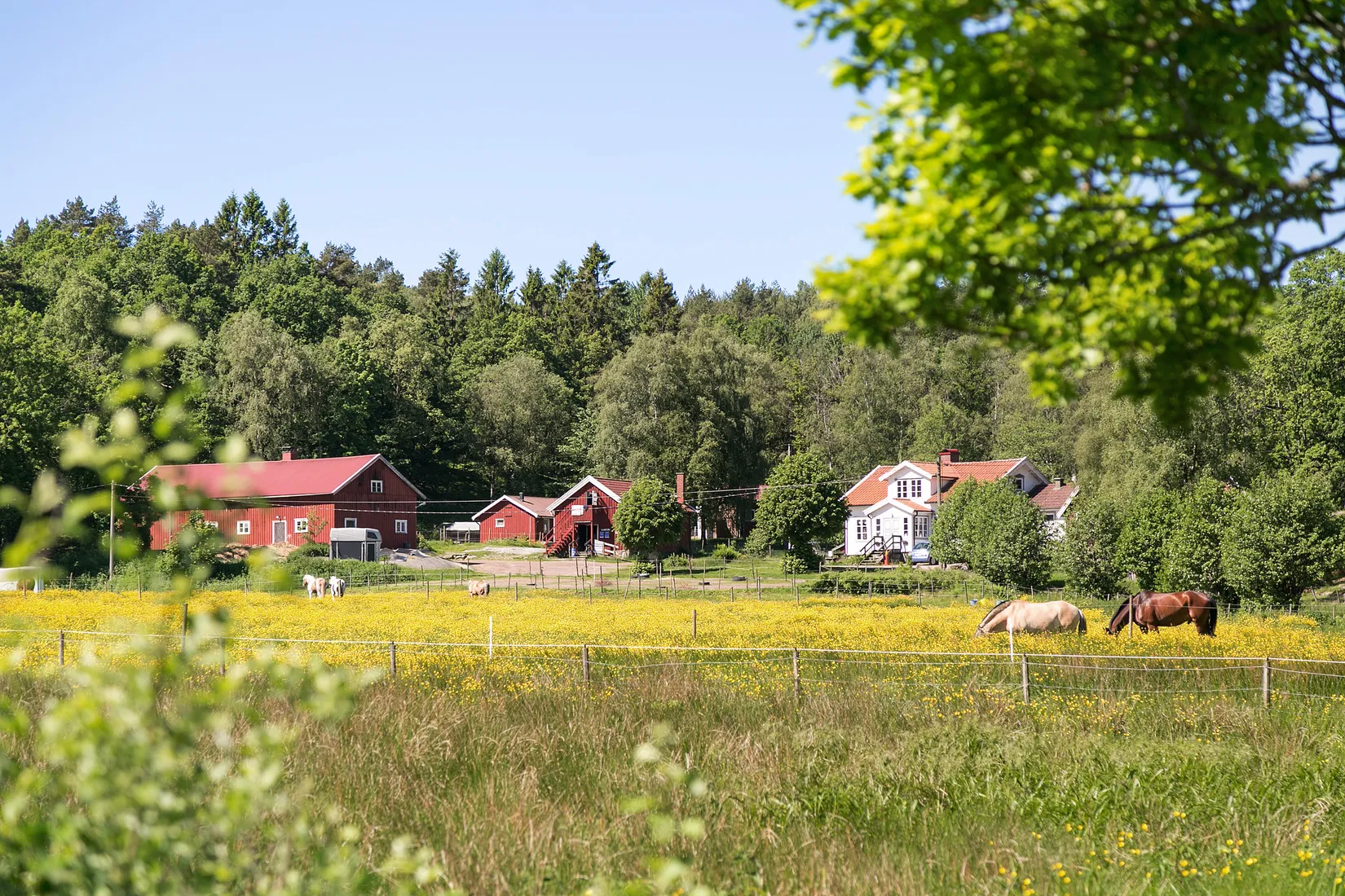 Bostadsrätt, Prilyckegatan 129, Hisings Kärra, Göteborg