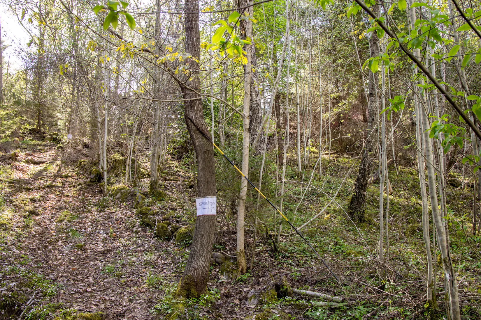 Tomt, Grantjärnsvägen 12, Lindome - Inseros, Mölndal