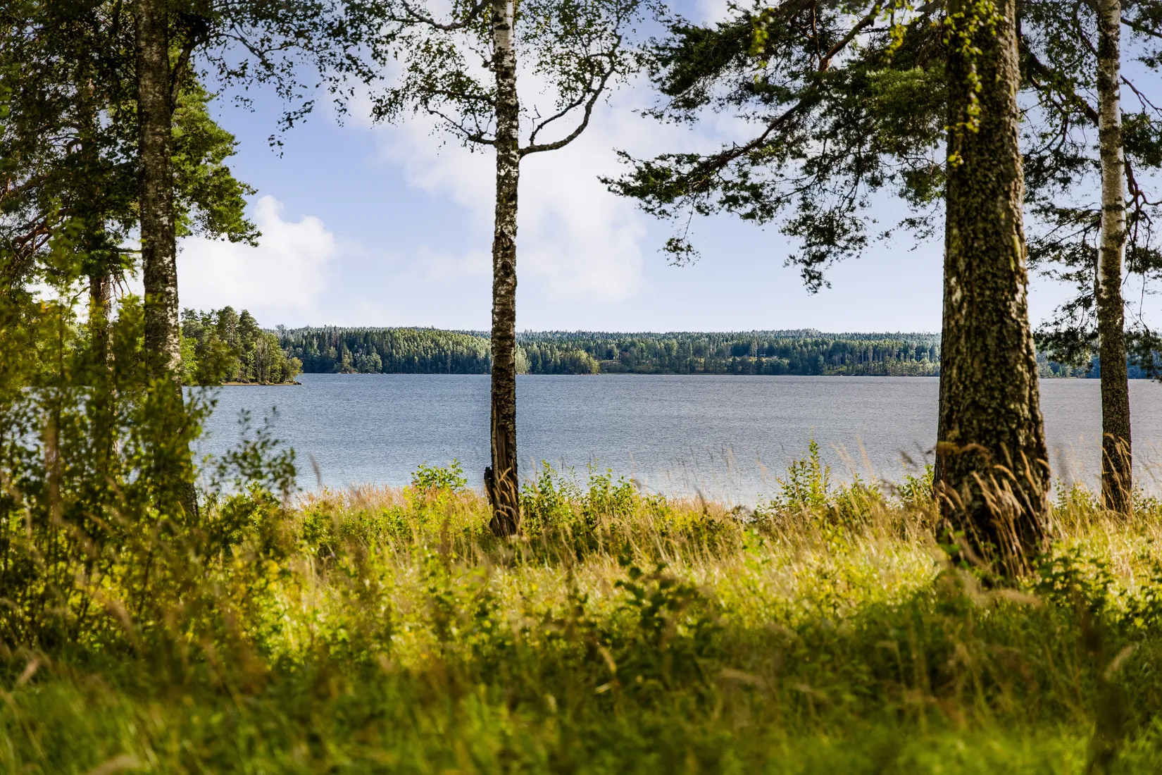 Fritidshus, Enebbavägen 20, Virsbo, Surahammar