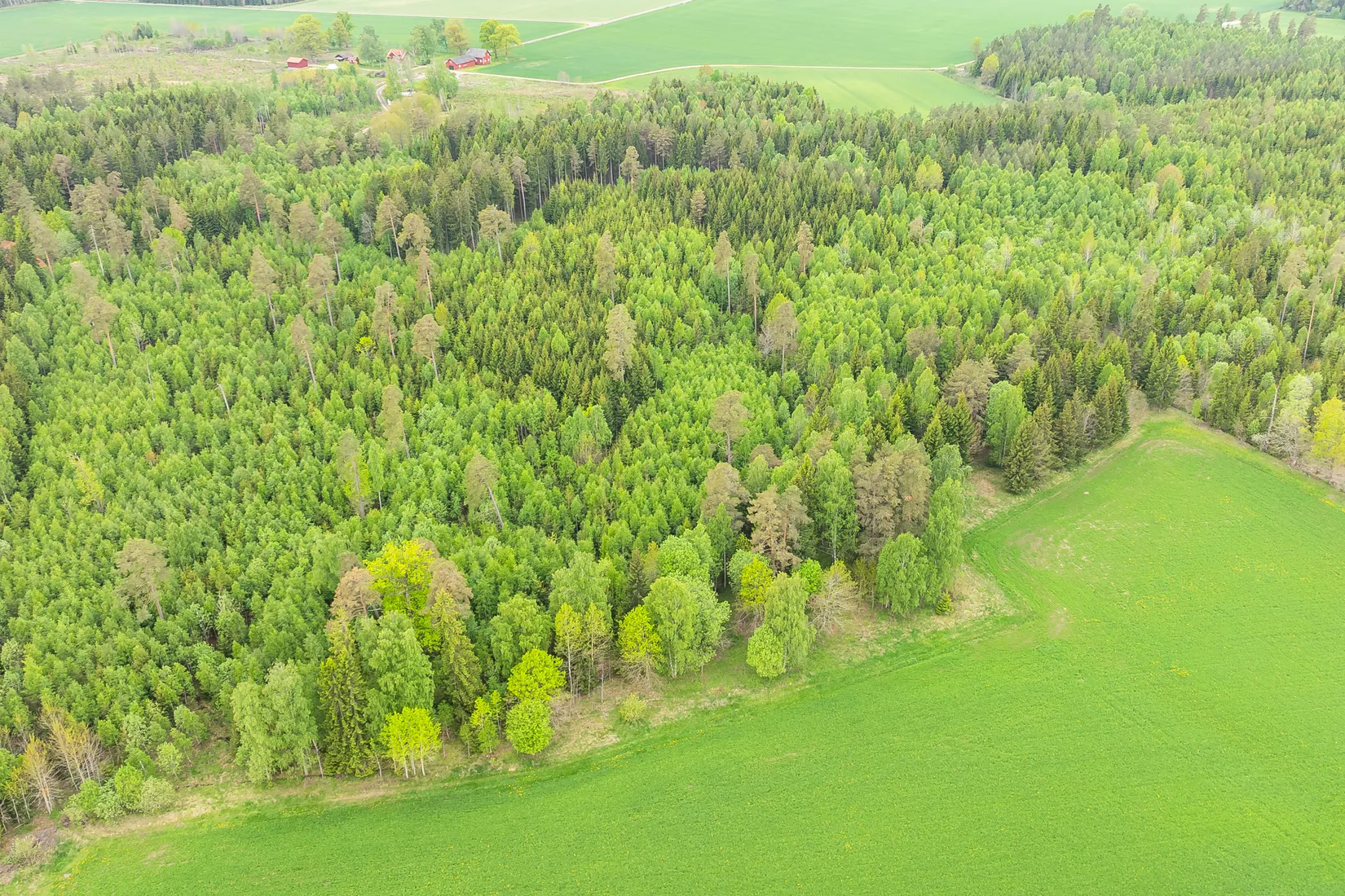 Gård/Skog, Klockrike Lilla Berga 708, Klockrike, Motala