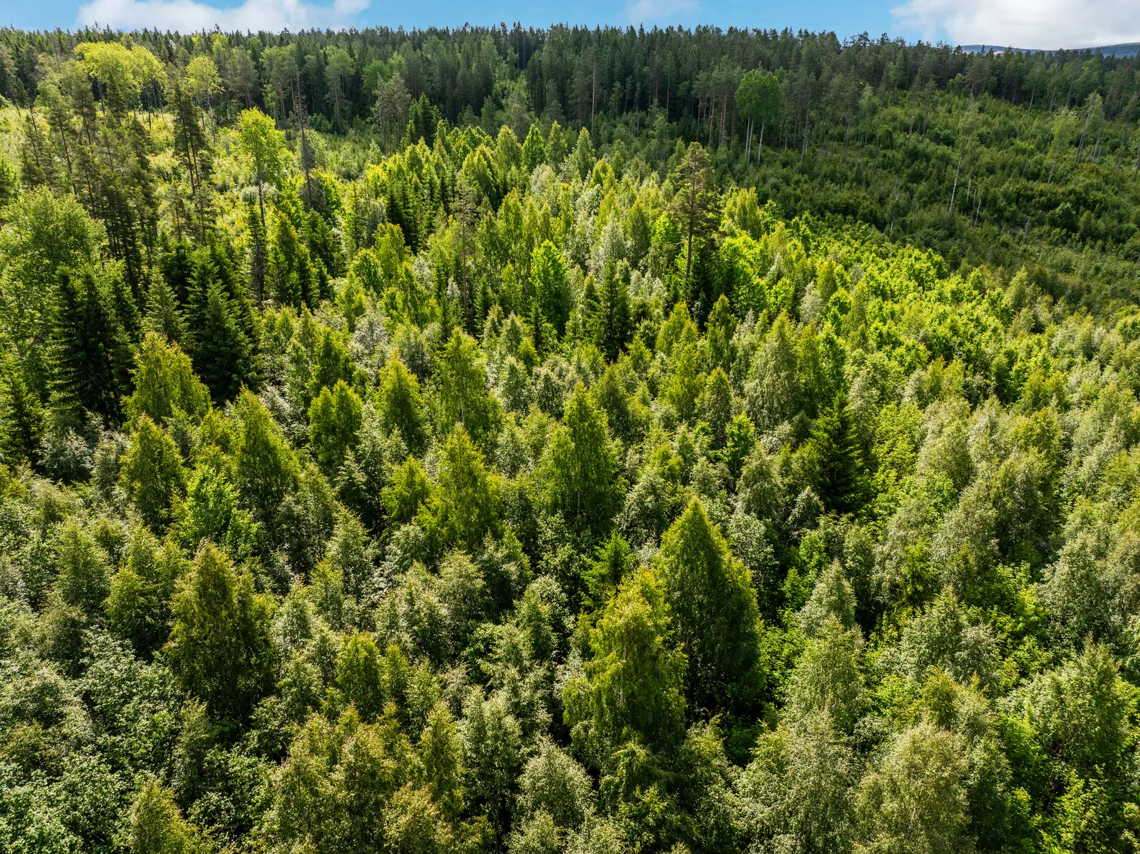 Gård/Skog, Äkrom 108, Huli, Sundsvall