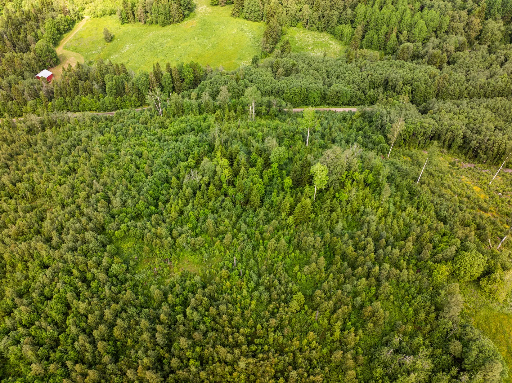 Gård/Skog, Äkrom 108, Huli, Sundsvall