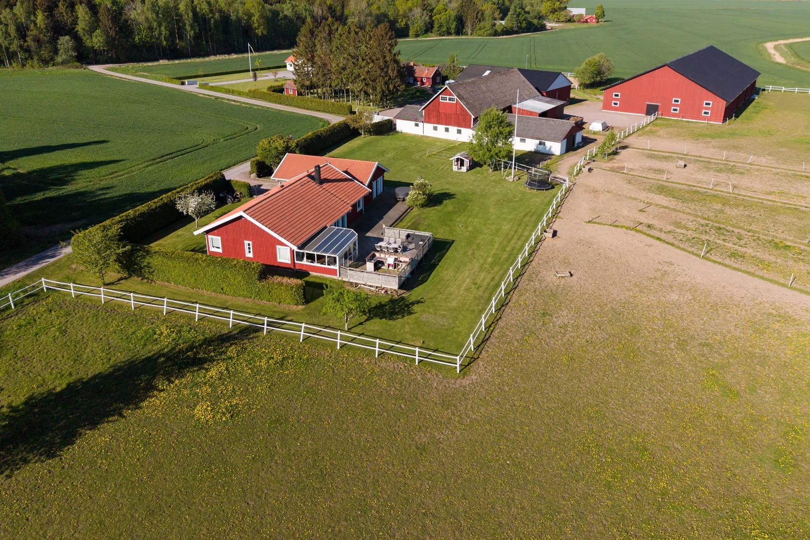 Gård/Skog, Skogen 206, Vadstena