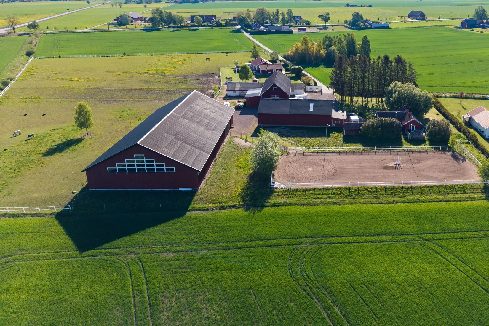 Gård/Skog, Skogen 206, Vadstena