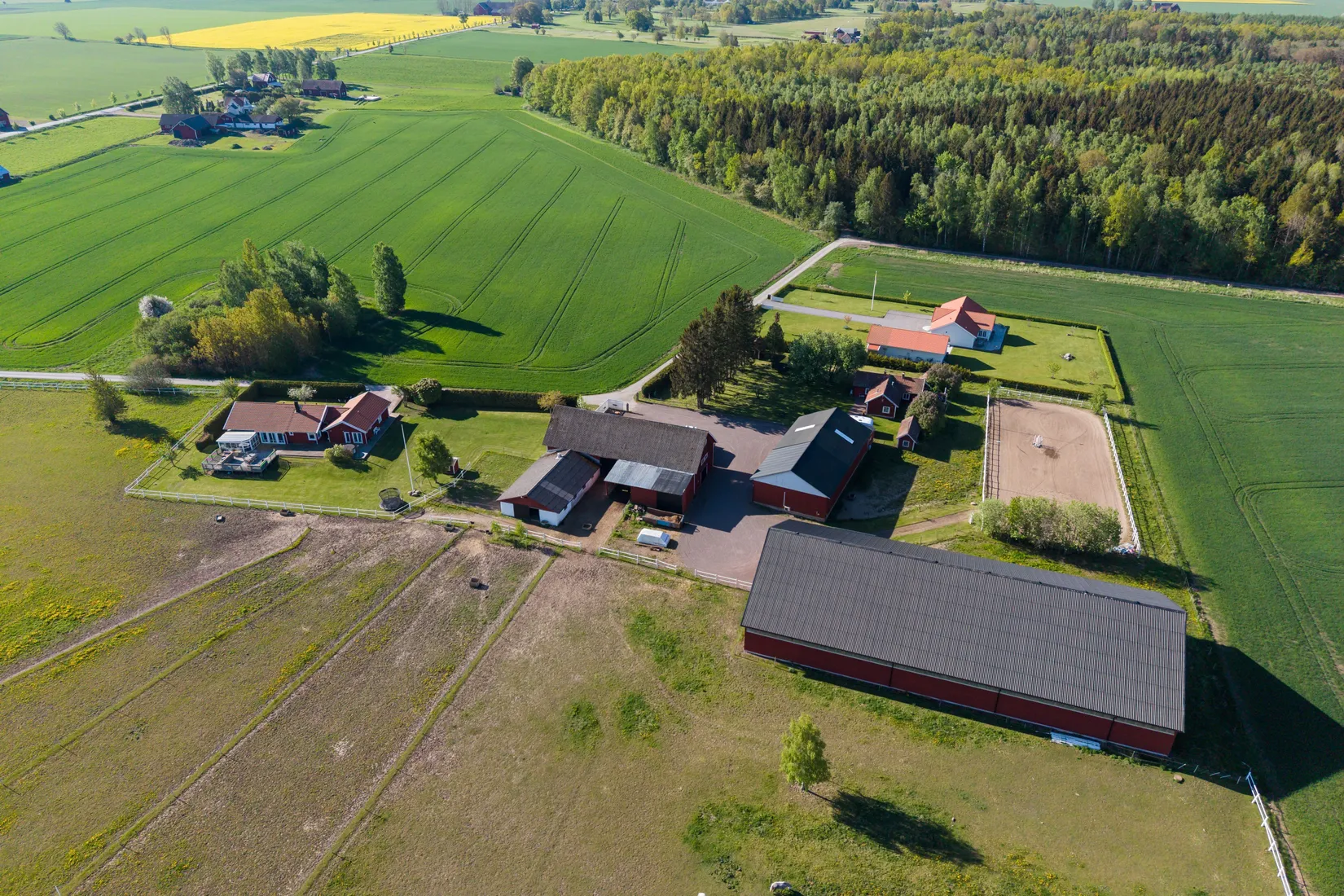 Gård/Skog, Skogen 206, Vadstena