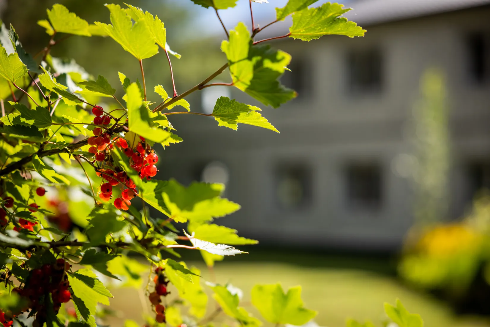 Villa, Hammarvägen 33, Bygdeå, Robertsfors