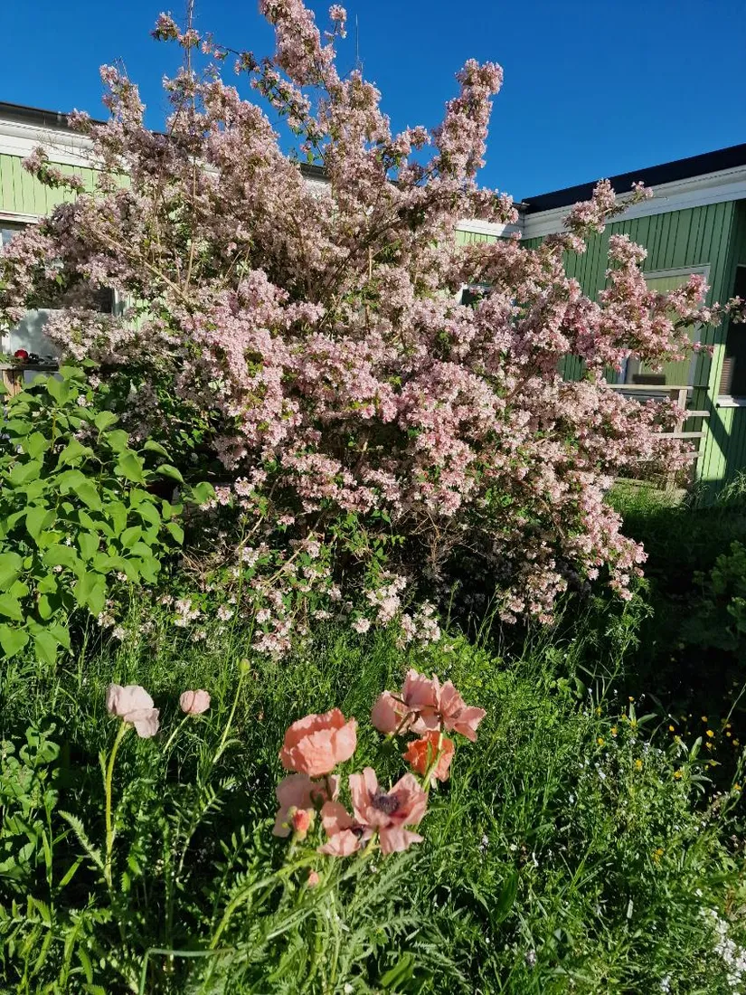 Villa, Stockvägen 115, Södra Ryd, Skövde