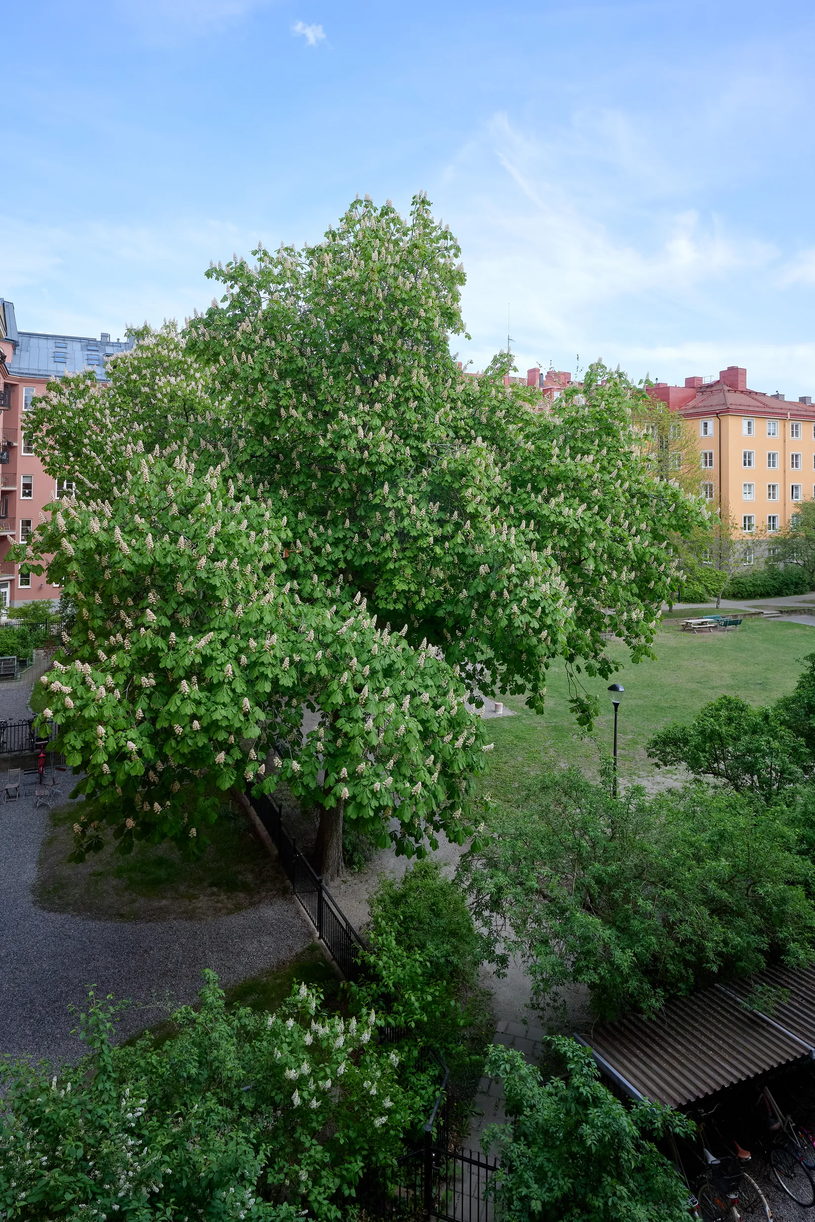 Bostadsrätt, Hallandsgatan 24, 3 tr, Södermalm Katarina, Stockholm