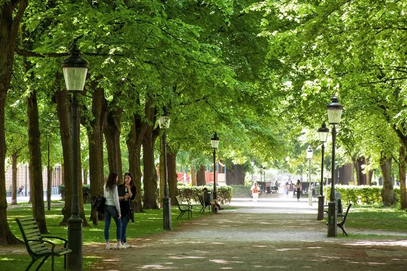 Bostadsrätt, Amiralsgatan 14A, Rörsjöstaden, Malmö