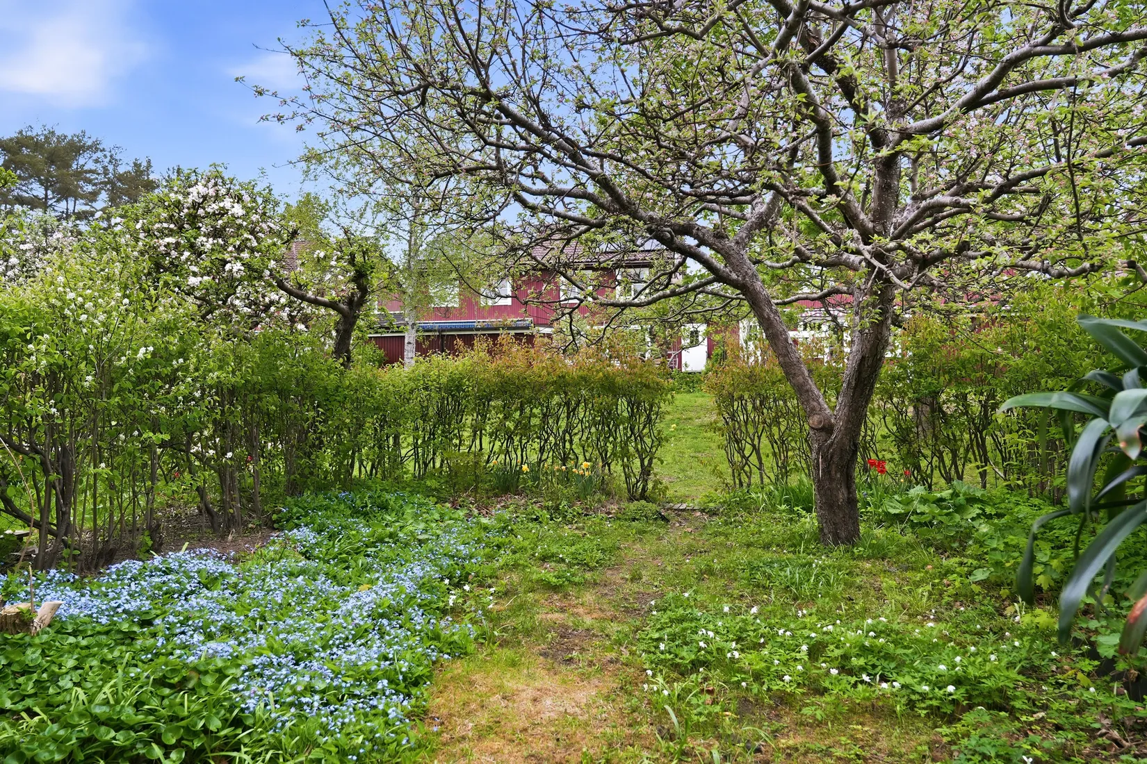 Villa, Radhus, Noreens väg 50, Flogsta, Uppsala