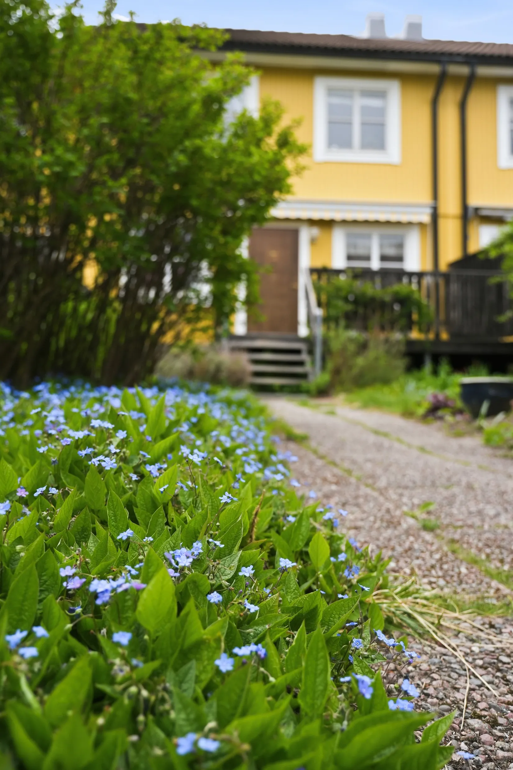 Villa, Radhus, Noreens väg 50, Flogsta, Uppsala
