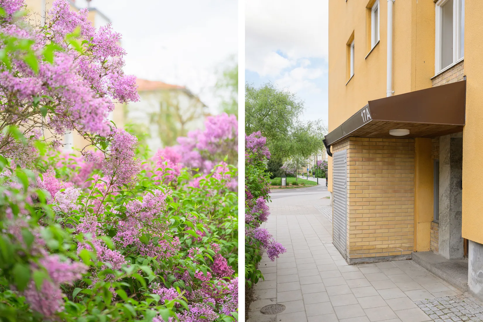 Bostadsrätt, Västra Ryttmästaregatan 17A, Slottsstaden, Malmö