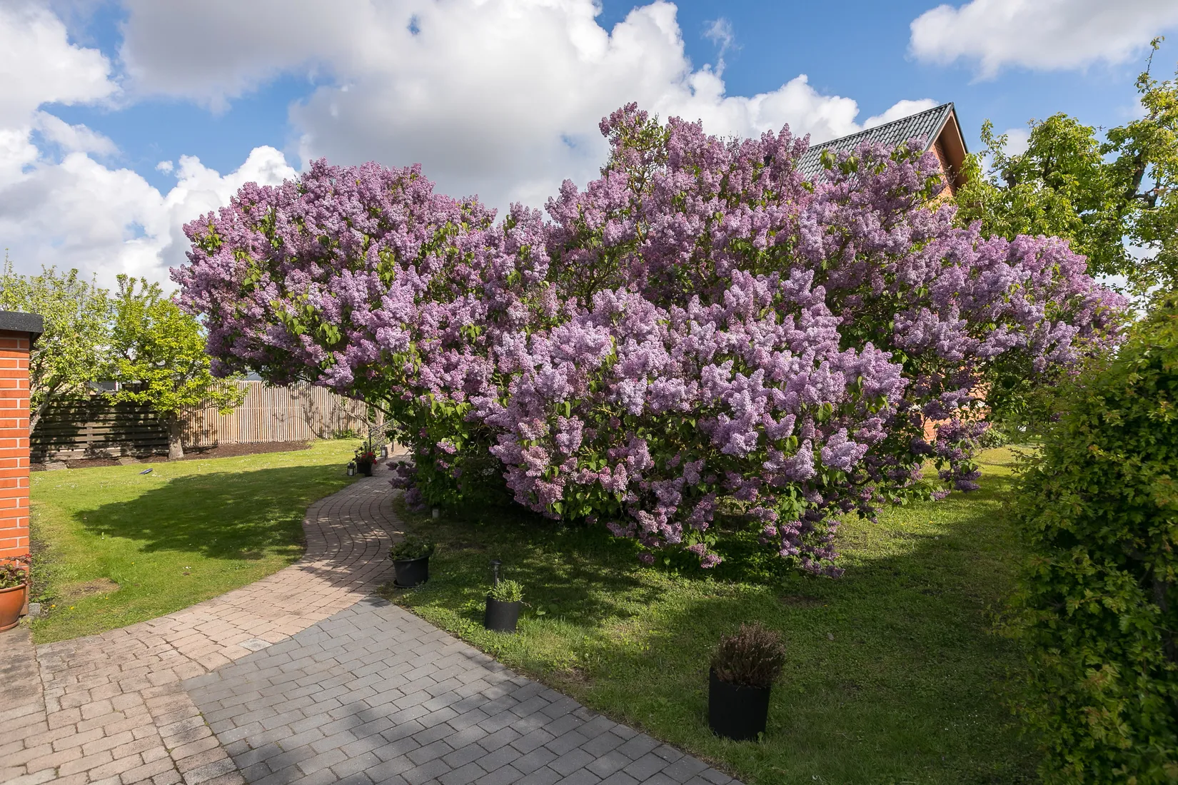 Villa, Bjällhögsgatan 1, Videdal, Malmö