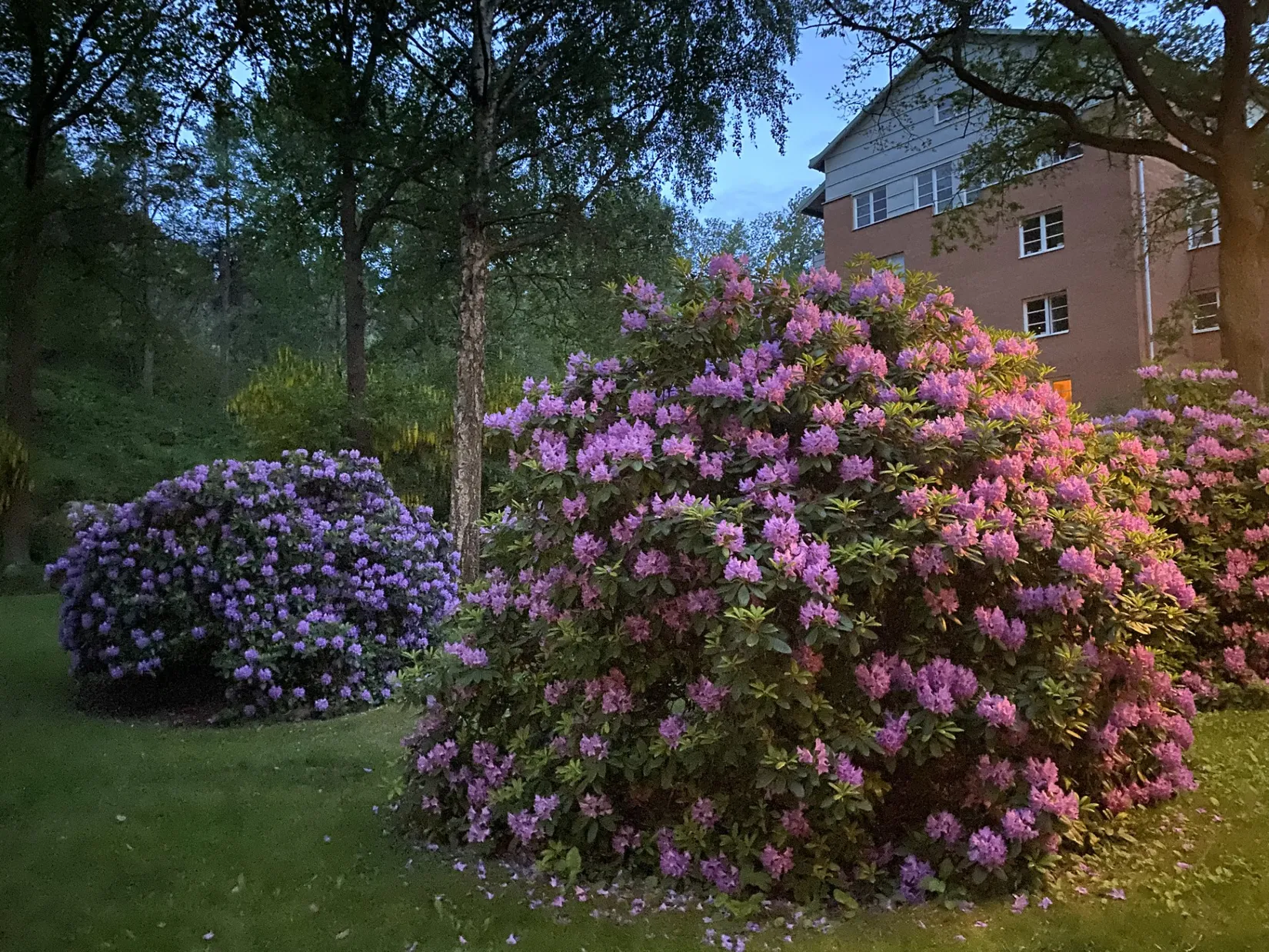 Bostadsrätt, Typografvägen 3, Aspudden/Örnsberg, Stockholm