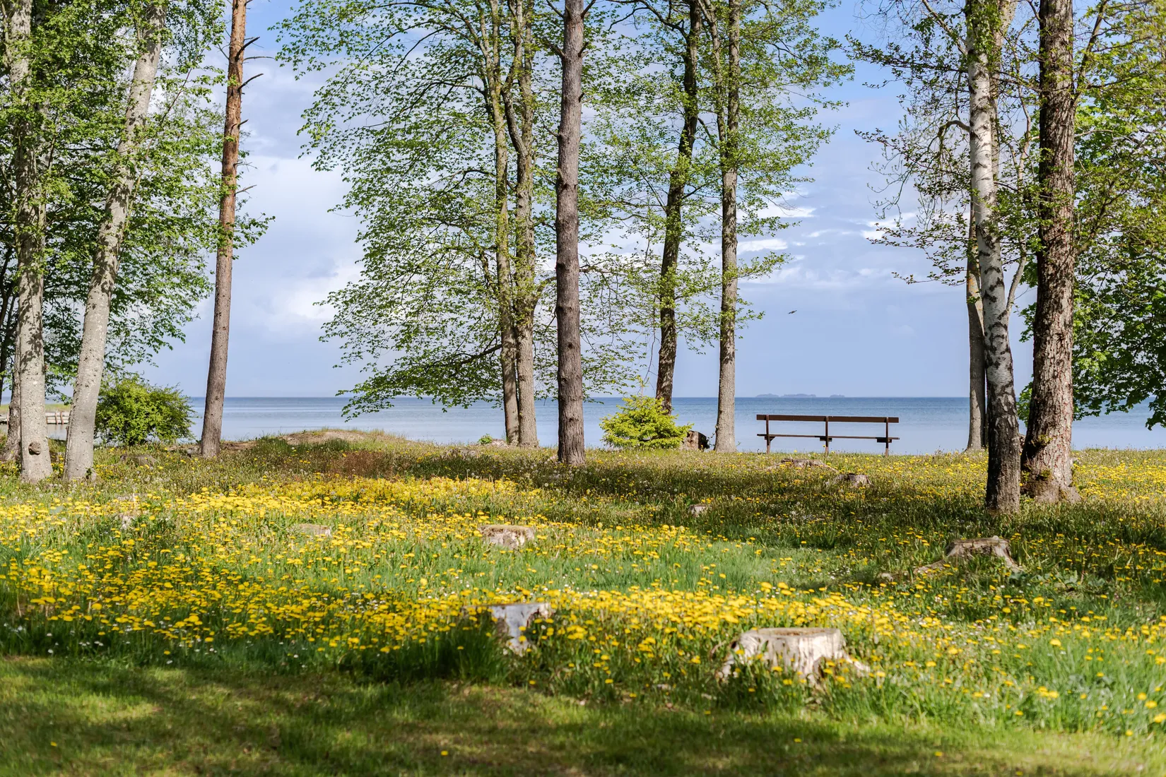 Fritidshus, Fågelväg 1, Järnevid, Vadstena