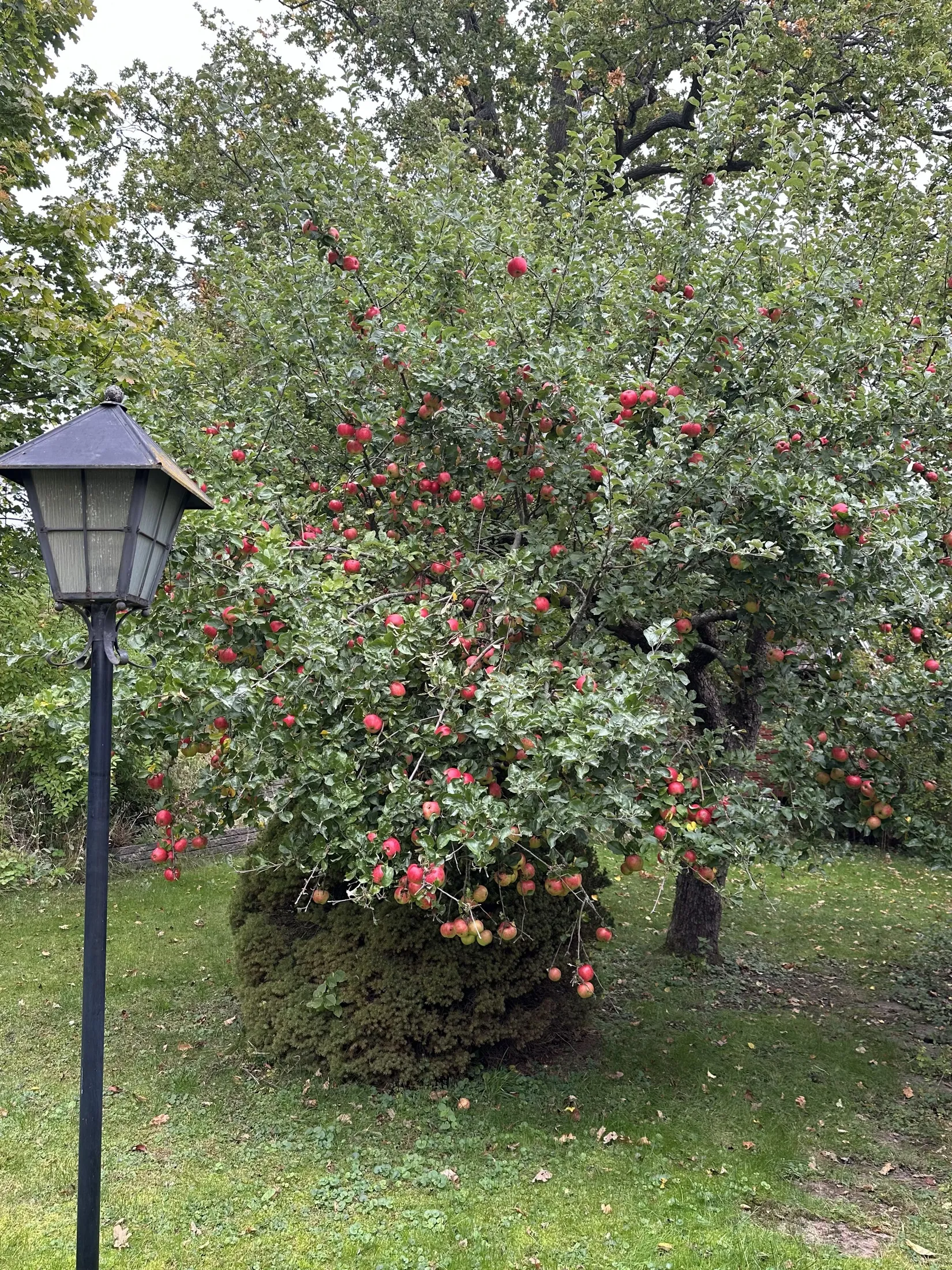Villa, Kurirvägen 10, Segeltorp, Huddinge