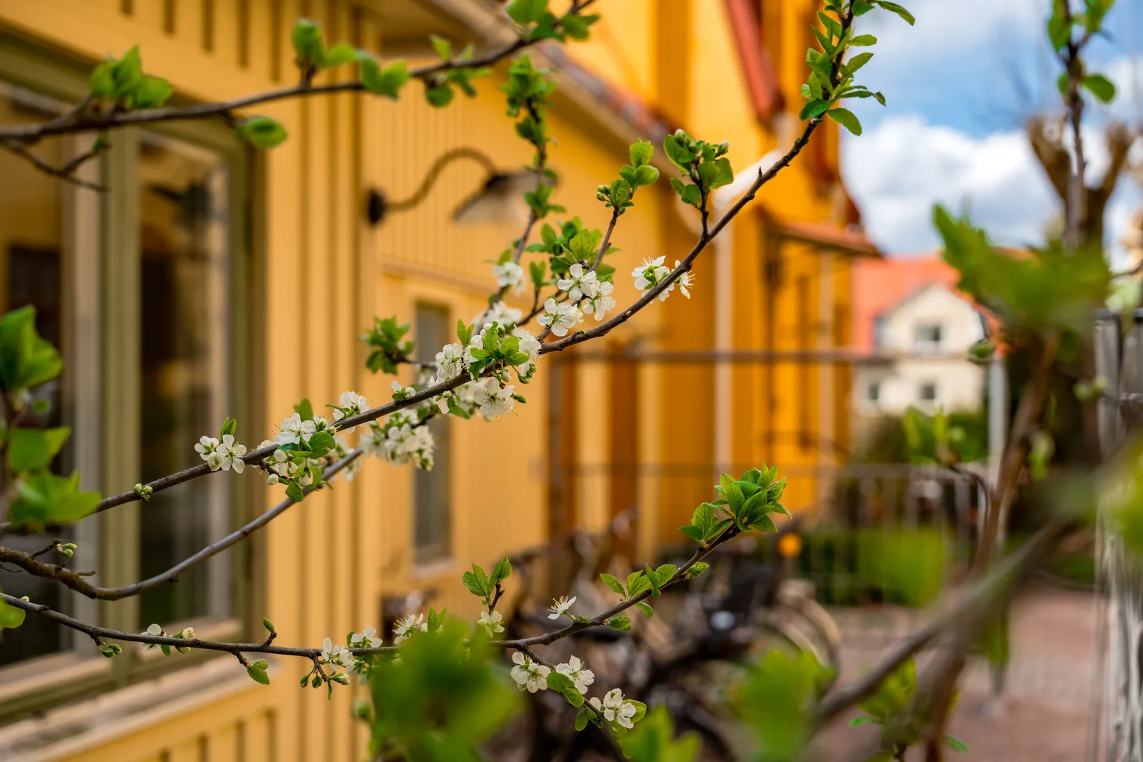 Bostadsrätt, Wallingatan 26A, Luthagen, Uppsala