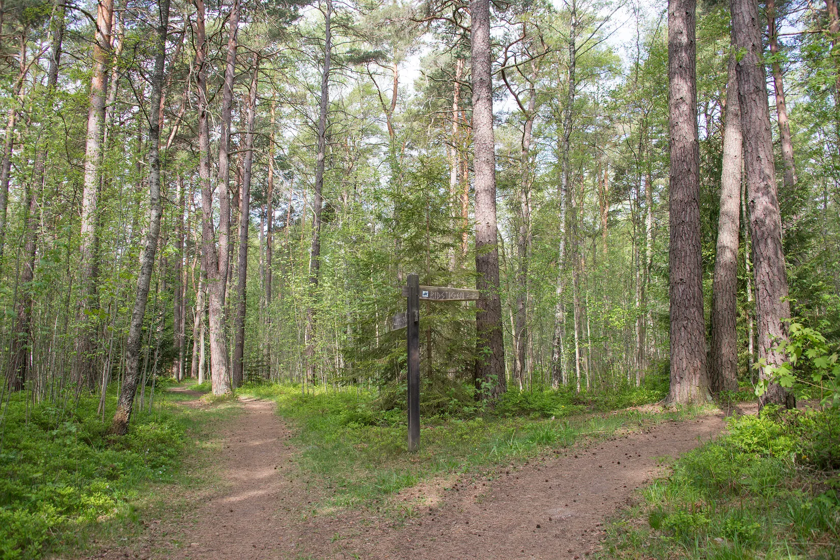 Bostadsrätt, Sidenbigatan 47 A, Rosendal, Uppsala