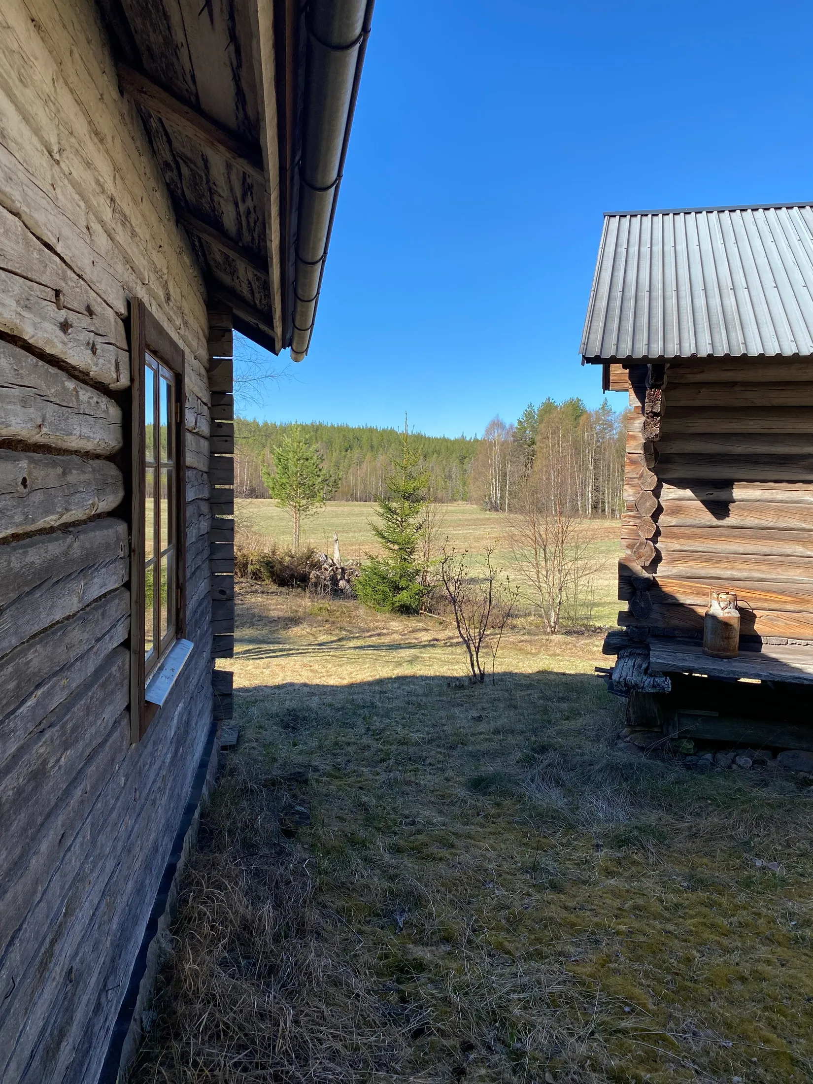 Gård/Skog, Tallhedsvägen 61, Tallhed, Orsa
