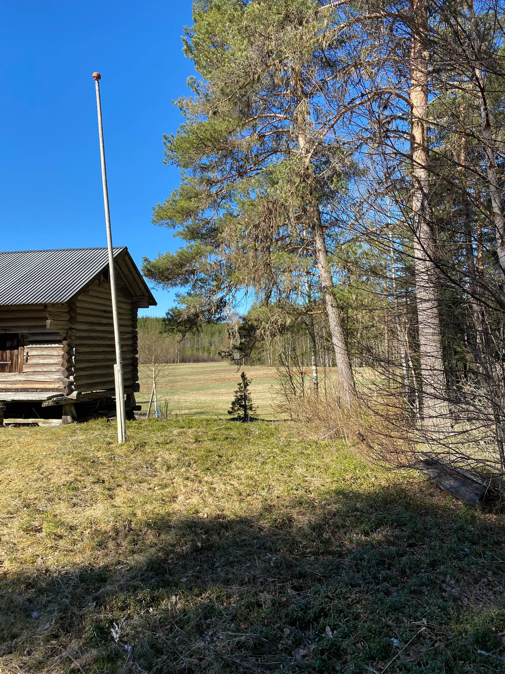 Gård/Skog, Tallhedsvägen 61, Tallhed, Orsa