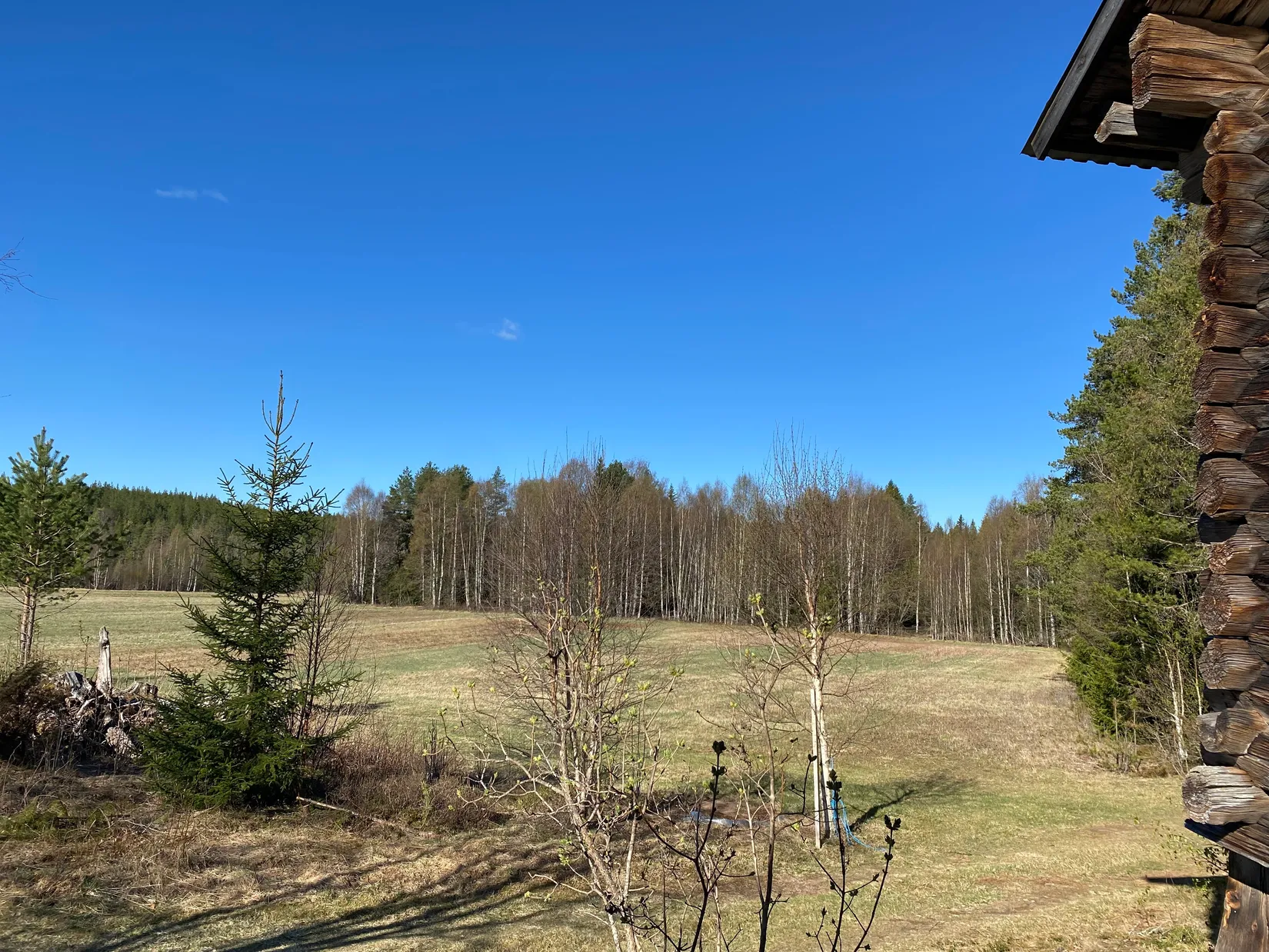 Gård/Skog, Tallhedsvägen 61, Tallhed, Orsa