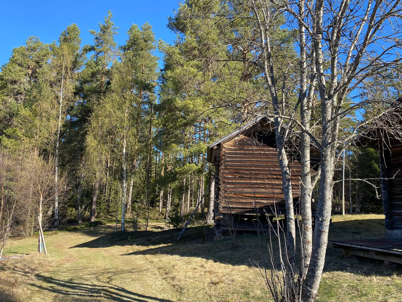 Gård/Skog, Tallhedsvägen 61, Tallhed, Orsa