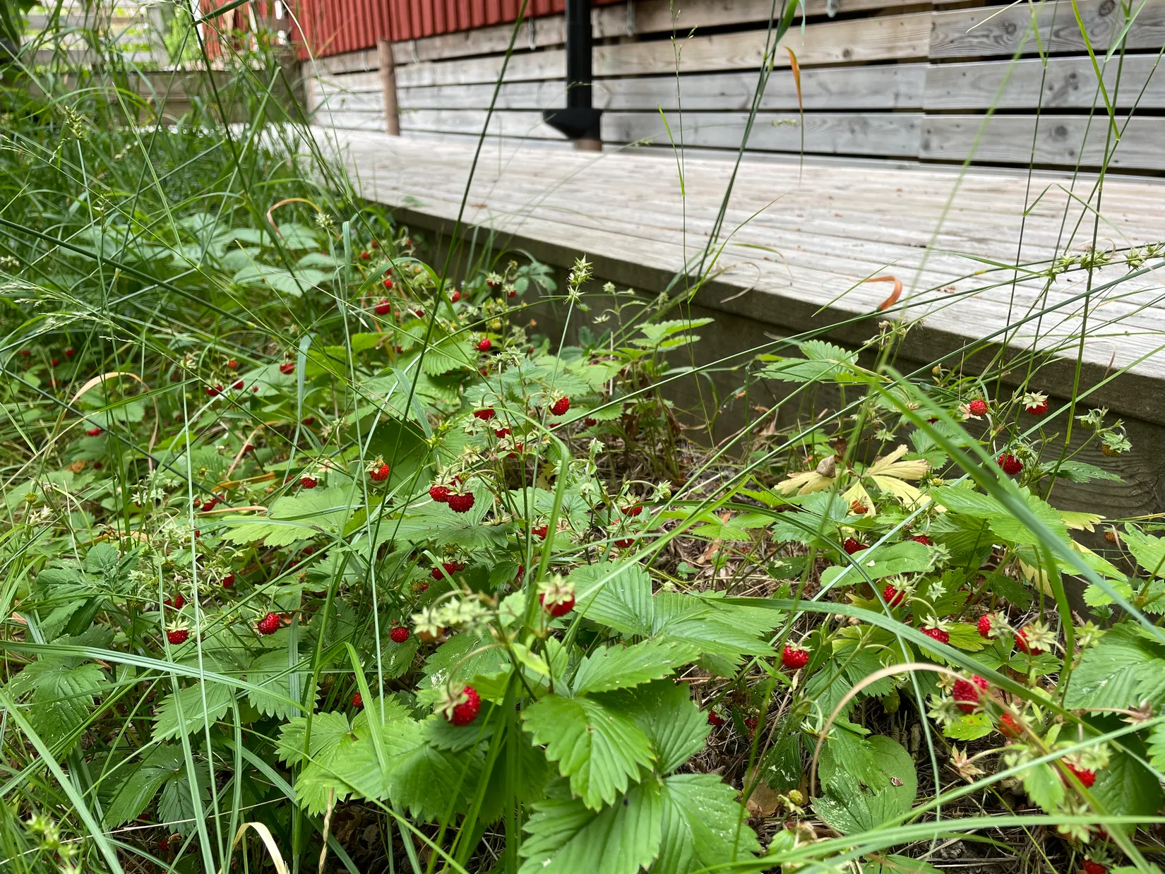 Fritidshus, Beteby Petersborg, Vikbolandet, Norrköping