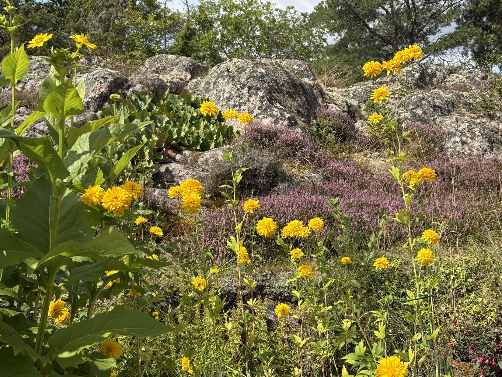 Fritidshus, Beteby Petersborg, Vikbolandet, Norrköping