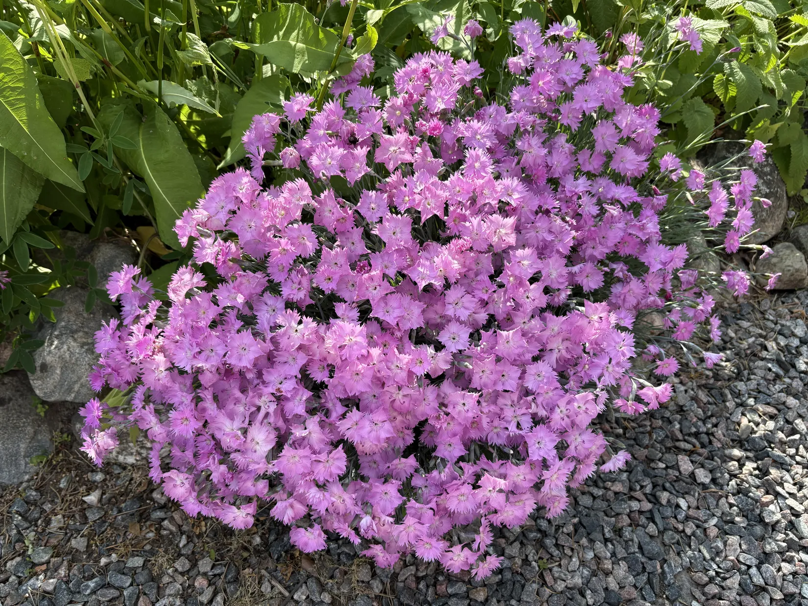 Fritidshus, Beteby Petersborg, Vikbolandet, Norrköping